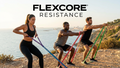 Elite Pro Resistance Band Set: Industrial-Strength Multi-Level Fitness Bands for Athletes